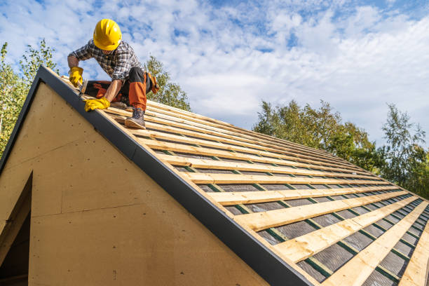 Best Roof Leak Repair  in Carver, MN